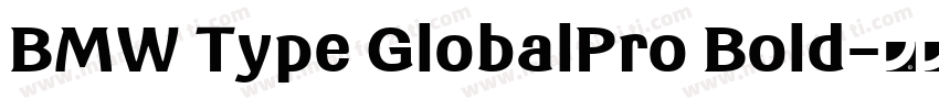 BMW Type GlobalPro Bold字体转换